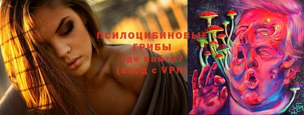 тгк Белокуриха