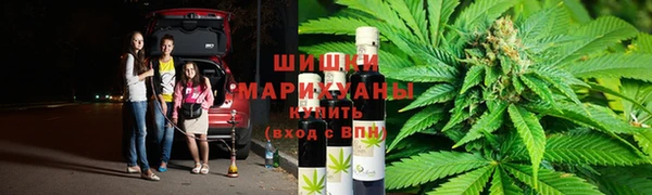 тгк Белокуриха