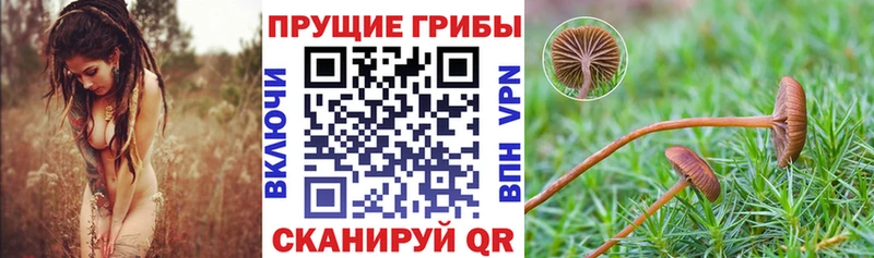 Галлюциногенные грибы Magic Shrooms  кракен зеркало  Ханты-Мансийск 